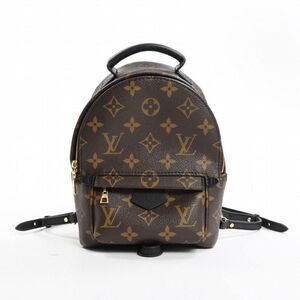 Louis Vuitton Palm Springs Mini Backpack